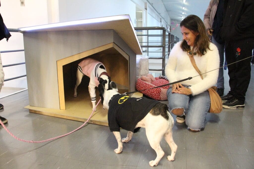 O atributo alt desta imagem está vazio. O nome do arquivo é casinha-para-caes-1024x683.jpg